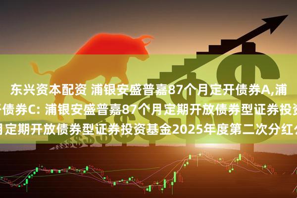 东兴资本配资 浦银安盛普嘉87个月定开债券A,浦银安盛普嘉87个月定开债券C: 浦银安盛普嘉87个月定期开放债券型证券投资基金2025年度第二次分红公告