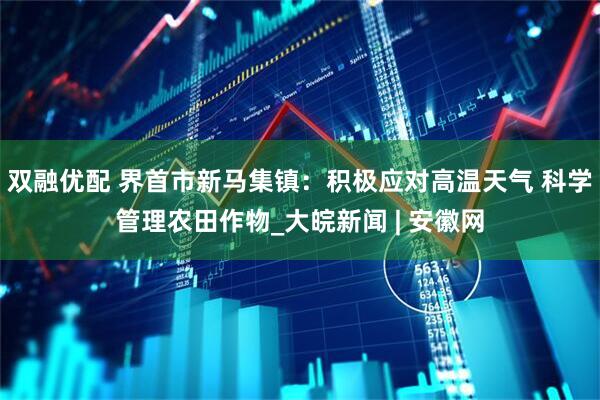 双融优配 界首市新马集镇：积极应对高温天气 科学管理农田作物_大皖新闻 | 安徽网