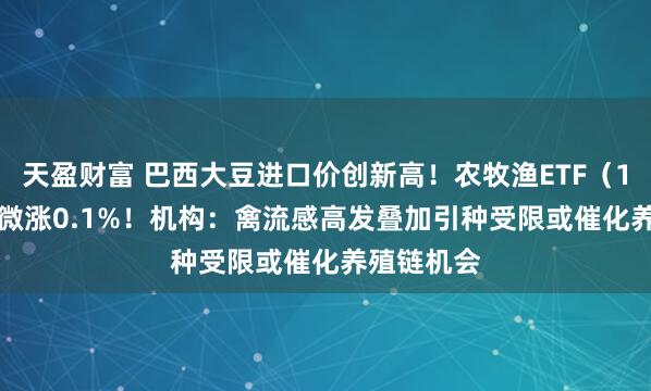 天盈财富 巴西大豆进口价创新高！农牧渔ETF（159275）微涨0.1%！机构：禽流感高发叠加引种受限或催化养殖链机会